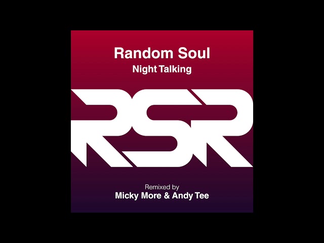 Random Soul - Night Talking