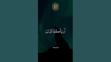 ❤️  تلاوة جميلة ارح سمعك بها #سيد سعيد #quran #تلاوة #اجر #سيد_سعيد #سورة#قرآن