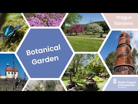 Video: Opis i fotografije Botaničke bašte (Bukureštanski botanički vrt) - Rumunija: Bukurešt