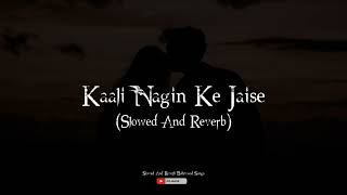 Kaali Nagin Ke Jaise (Slowed And Reverb)