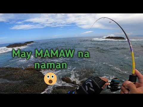 Video: Ultralight Fishing: Pamamaraan, Pang-akit, Rigging