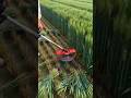इस मशीन में पूरे भारत में तहलका मचा दिया गार्डन की सफाई#shorts video viral tools #farming video vir