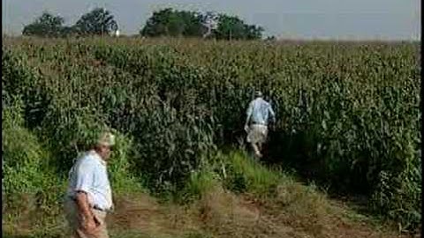Virginia Farm Bureau - Wine sales and development