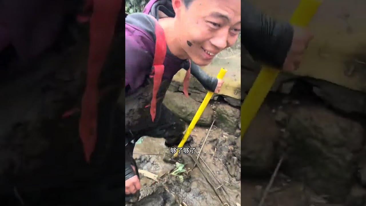 I bought a dilapidated turtle pond for 500 yuan. I never expected to find more than te