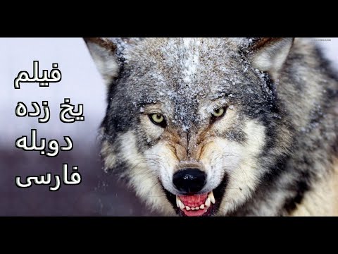 تصویری: بی نهایت یخ زده