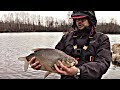 Spring fishing for Bream AUSTRIA