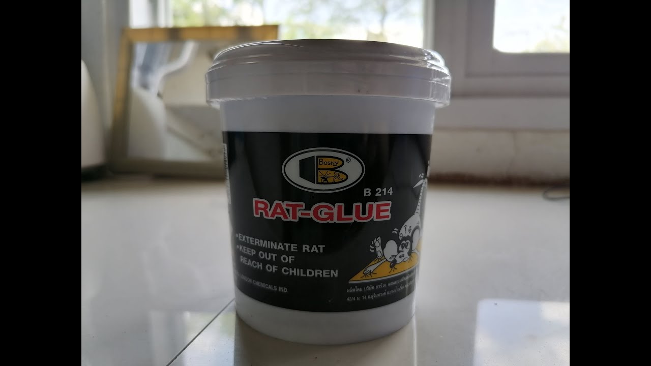 NoRat Gluetube - Rat Glue - 1env Solutions