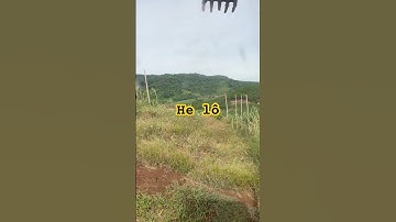 ngày 20 tháng 8, 2025