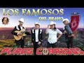 Los famosos del bravo daniel flores