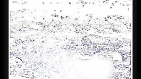 Ruth Crawford Seeger: Music for small Orchestra (1...