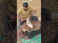 നാട്ടിലെ ഒരു മീൻ വെട്ടൽ/ amazing super fast fish cutting