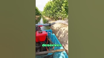 Irrigation Made Easy: High-Efficiency Orchard Watering in Action! #orchard #fruit