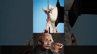 How magician make fool 😱‼️🤯 | Sigma Physics Teacher #shorts #sigma #physics