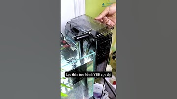 Lọc Thác Treo Bể Cá YEE Cực Đại Khoang Lọc Lớn #locbeca #yee #beca