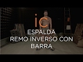 WORKOUT ESPALDA || REMO INVERSO CON BARRA