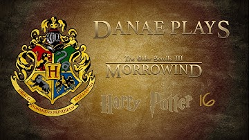 Morrowind Challenge: Harry Potter 16
