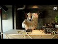 Table Beats Vol.23 from Jazzy Sport Kyoto