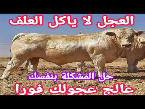 فيديو: تصاميم الأثاث الزجاج المعلقة للتصميم الداخلي المعاصر