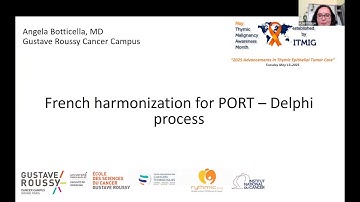 French Harmonization for PORT - Delphi process