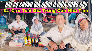 Hai Vợ Chồng Già Sống Giữa Rừng Sâu, Cơ Cực Tuổi Già Khiến Ai Cũng Xót Xa #706