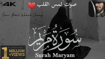 سورة مريم | صوت لمس القلب قاری عبدالوهاب چانگ |Surah Maryam by:qari Abdul wahab chang