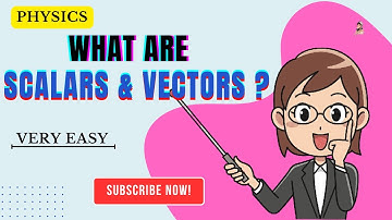What are the Scalars and Vectors? | Scalar Quantities | Vector Quantities | Physics