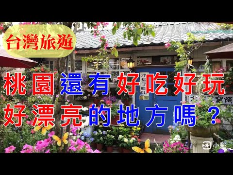 【台灣旅遊】桃園還有好吃好玩好漂亮的地方嗎？｜木盒子柴燒窯烤披薩｜三坑自然生態公園｜碰甘｜Taoyuan｜Taiwan