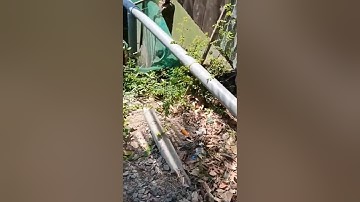 Tập 744❤Bán vườn sầu riêng 6 năm tuổi,  diện tích 3.464㎡  Cai Lậy Tiền Giang