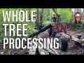 Processing a Whole Tree With the Hakki Pilke Raven 33 Firewood Processor -E71