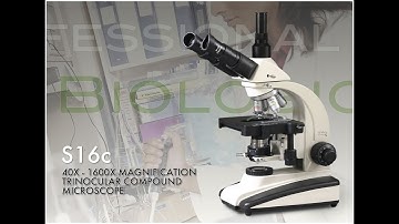 S16C Trinocular Microscope Installation Guide