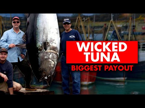 Video: Krijgt de winnaar van wicked tuna een prijs?