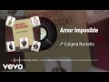 Enigma Norteño - Amor Imposible (Audio)