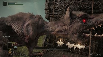 Elden Ring Randomizer: Part 1