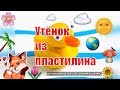 Утёнок из пластилина. Поделки с детьми.Своими ручками.