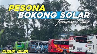 Download Lagu PESONA BOKONG SOLAR TERMINAL PORIS‼️EDISI LIBUR IMLEK 🐎 MP3