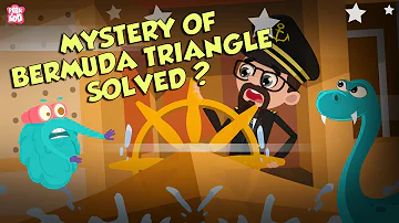 Is Bermuda Triangle's Mystery Solved? | BERMUDA TRIANGLE | Dr Binocs Show | Peekaboo Kidz