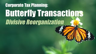 What is a Butterfly Transaction [divisive reorganization for tax-free division of corporate assets]