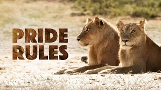 🦁 Pride Rules: Einstein Must Go - Wildlife Documentary 🐆