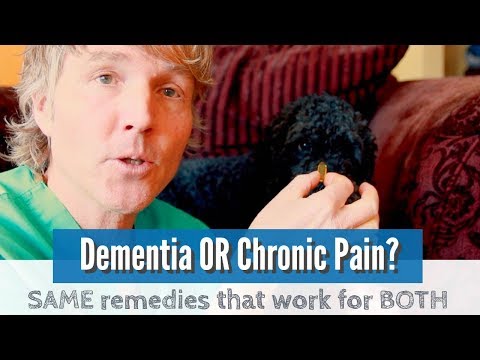 Does Your Pet Have Chronic Pain OR Cognitive Dysfunction?