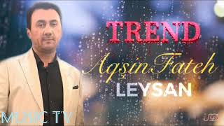 Aqşin Fateh-Leysan (2019) Resimi