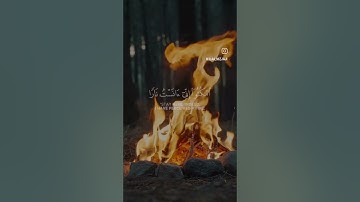 القارئ علاء المزجاجي(( سورة طه))