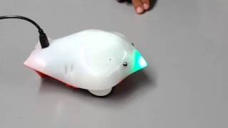 Famous Finch Robot at New Milford Public Library Wealth