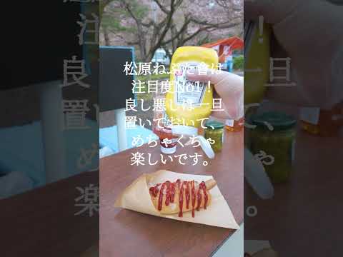 桜もまだまだOK牧場！黒石東公園にカモーン！松原ねぷた會露店部 #shorts  #めっちゃ青森 #黒石さくらまつり #桜 #松原ねぷた會 #東公園