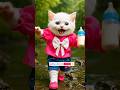 😻#desenho de gatinho#desenho do gatinho#funny # cat#  videos#  funny # shorts #video😻😻