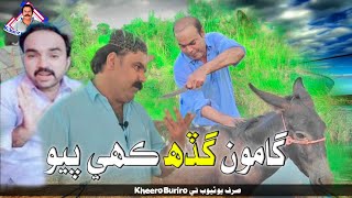 Gamoo Gadah kuhen payo (sajad makhni with kheero Buriro) Sindhi funny..