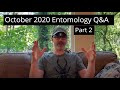 Entomology Bugs Insects Q&A