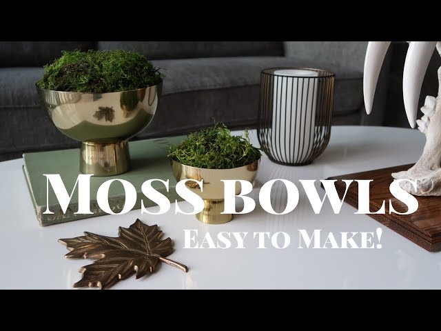 DIY Moss Centerpiece - Coffee Table Decor 