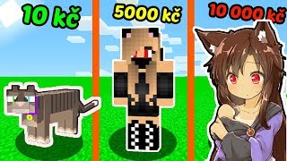 KOČKA ZA 10KČ VS 5000KČ VS 10000KČ KTERÁ TO UDĚLÁ? 😜😨