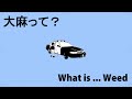 大麻ってなに？【What is ... Weed】
