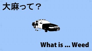 大麻ってなに？【What is ... Weed】